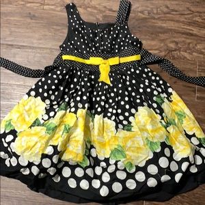 Beautiful black and yellow bumblebee